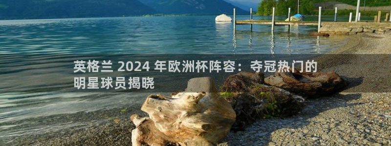 welcome欧洲杯开户|英格兰 2024 年欧洲杯阵容：夺冠热门的
明星球员揭晓