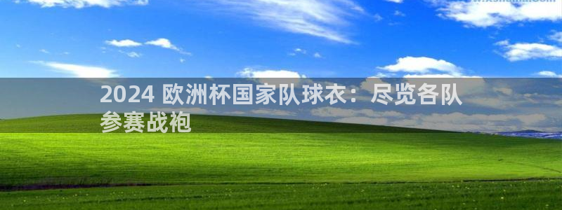 欧洲杯决赛彩票网上购买|2024 欧洲杯国家队球衣：尽览各队
参赛战袍