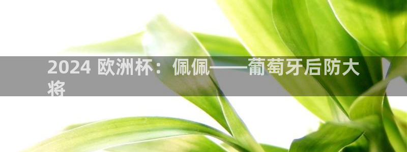 2024欧洲杯买球推荐|2024 欧洲杯：佩佩——葡萄牙后防大
将