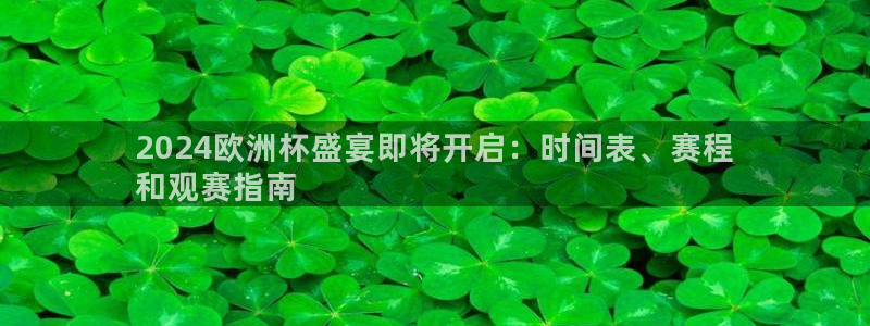 欧洲杯押注怎么买|2024欧洲杯盛宴即将开启：时间表、赛程
和观赛指南