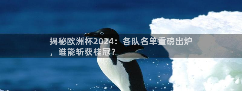 买球平台官方网站|揭秘欧洲杯2024：各队名单重磅出炉
，谁能斩获桂冠？