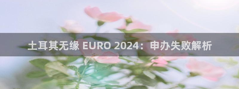 欧洲杯投注入口官网|土耳其无缘 EURO 2024：申办失败解析