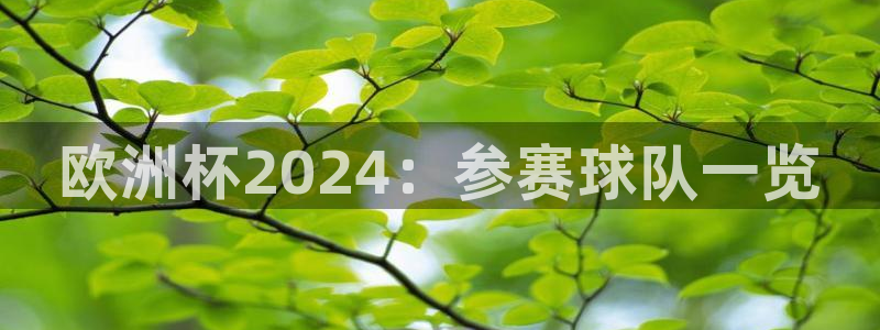 欧洲杯竞猜网站|欧洲杯2024：参赛球队一览