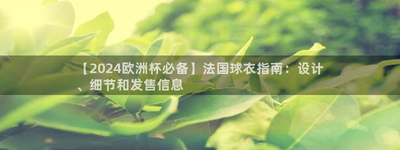 欧洲杯在哪个网站购买