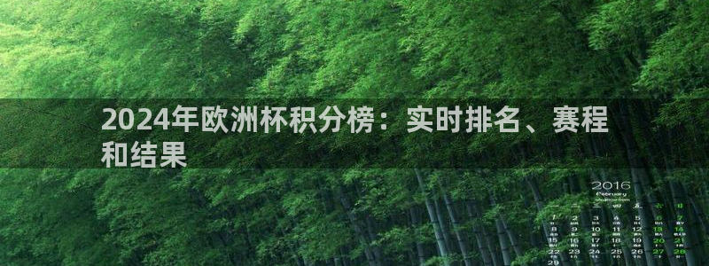 2024年欧洲杯积分榜：实时排名、赛程
和结果