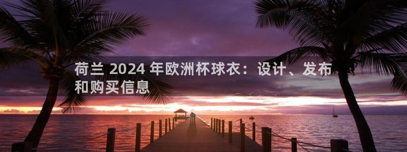 网上哪个平台可以买足球|荷兰 2024 年欧洲杯球衣：设计、发布
和购买信息